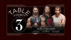 Shield Reunion Shield Reunion