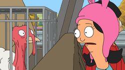 I Bob Your Pardon I Bob Your Pardon