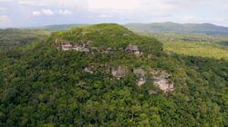 Secrets in the Jungle Secrets in the Jungle
