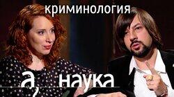 Криминология: почему мужчины убивают чаще, Чечня самый безопасный регион и при чём тут праздники? Криминология: почему мужчины убивают чаще, Чечня самый безопасный регион и при чём тут праздники?