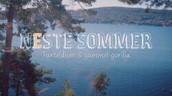 Turtelduer & gammel gorilla Turtelduer & gammel gorilla