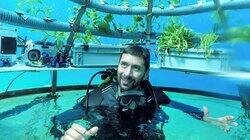 Under the Mediterranean Sea Under the Mediterranean Sea