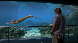 Fish Fever Fish Fever