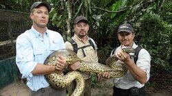 Amazon Anaconda Amazon Anaconda