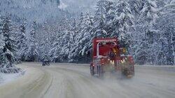 Cold Comfort Cold Comfort