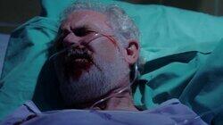 Blood Sport Blood Sport