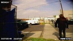 Carjacking Bear Carjacking Bear