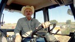 Willard Hill: Pig Farmer