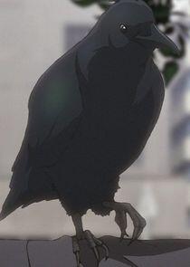 Kansuke Kansuke