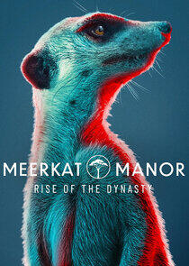 Meerkat Manor: Rise of the Dynasty Meerkat Manor: Rise of the Dynasty