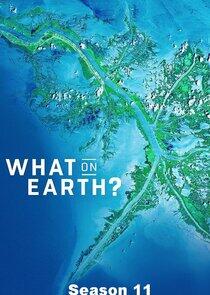 What on Earth? - Season 11 What on Earth? - Season 11