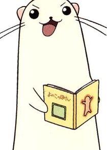 Chamomile Albert