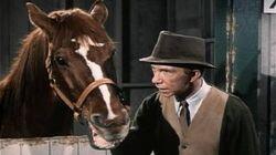 Horse and Buggy Martin Horse and Buggy Martin