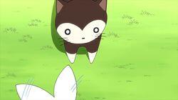 Goma-chan vs. Cat