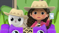 Dollhouse Safari Dollhouse Safari