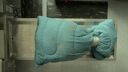 Body in Bags Body in Bags