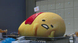 How Many Eggs are in that Omelet? How Many Eggs are in that Omelet?