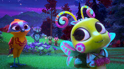 Caterpillar Camp Caterpillar Camp