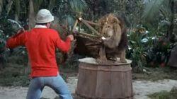 Feed the Kitty Feed the Kitty