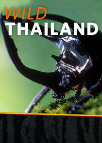 Wild Thailand Wild Thailand