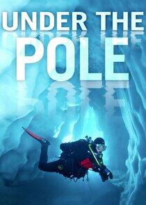 Under the Pole Under the Pole