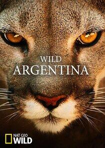 Wild Argentina Wild Argentina