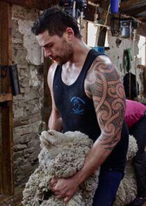 Shearing Gang Shearing Gang