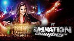 2014 Elimination Chamber - Minneapolis, MN 2014 Elimination Chamber - Minneapolis, MN