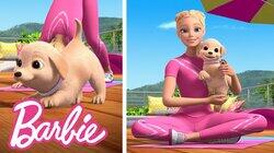 BARBIE YOGA OUTTAKES WITH TAFFY! BARBIE YOGA OUTTAKES WITH TAFFY!