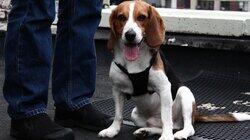 Adoption Day!