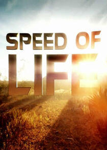 Speed of Life Speed of Life