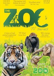 The Zoo The Zoo