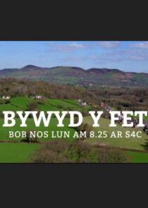 Bywyd y Fet Bywyd y Fet