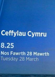 Ceffylau Cymru Ceffylau Cymru