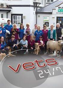Vets 24/7 Vets 24/7