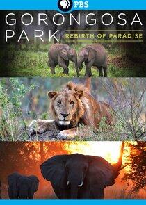 Gorongosa Park: Rebirth of Paradise Gorongosa Park: Rebirth of Paradise
