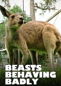 Beasts Behaving Badly Beasts Behaving Badly