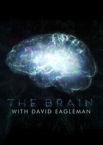 The Brain with David Eagleman The Brain with David Eagleman