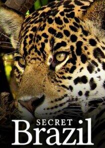 Secret Brazil Secret Brazil