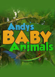Andy's Baby Animals - Season 1 Andy's Baby Animals - Season 1