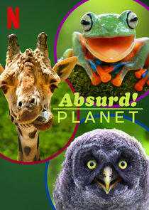 Absurd Planet - Season 1 Absurd Planet - Season 1