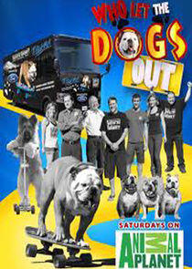 Who Let the Dogs Out Who Let the Dogs Out