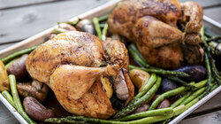 Chicken All Week Chicken All Week