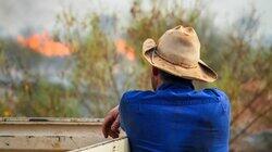 Bush Fire Coming!