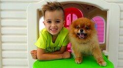Pets, Animals and Puddles Pets, Animals and Puddles