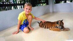 Favorite Toys and Sleeping Tiger Farm Favorite Toys and Sleeping Tiger Farm
