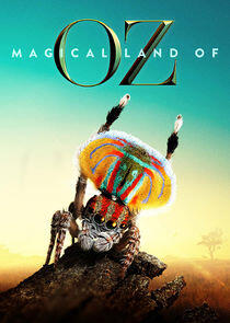 Magical Land of Oz Magical Land of Oz