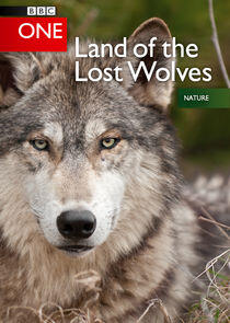 Land of the Lost Wolves Land of the Lost Wolves