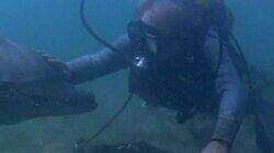 Splashdown