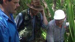 Nevis (Part 1 of 2) - Nevis Island, West Indies Nevis (Part 1 of 2) - Nevis Island, West Indies